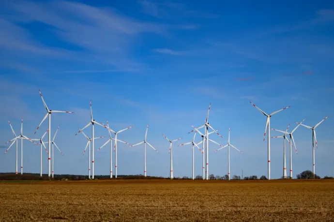 Közel sem esik áldozatul annyi madár a szélturbináknak, mint azt eddig gondoltuk