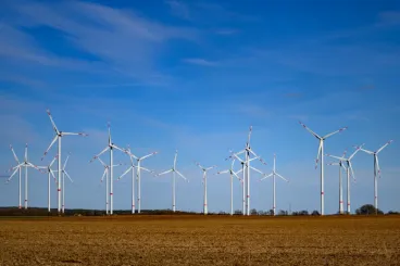 Közel sem esik áldozatul annyi madár a szélturbináknak, mint azt eddig gondoltuk