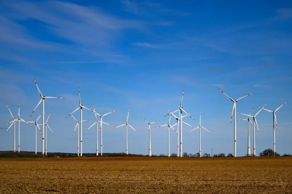Közel sem esik áldozatul annyi madár a szélturbináknak, mint azt eddig gondoltuk