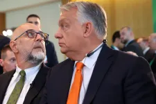 Expert Forum elnöke: Kelemen Hunornak távoznia kellene a választási eredmények után