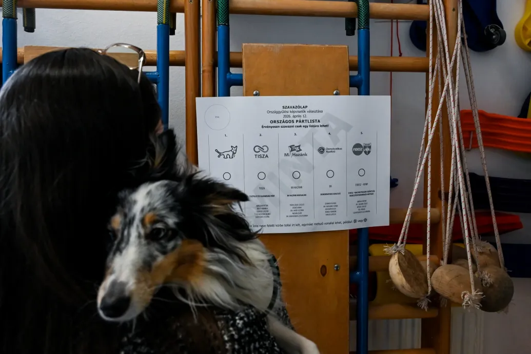 Grafikonokon mutatjuk a Tisza elsöprő győzelmét