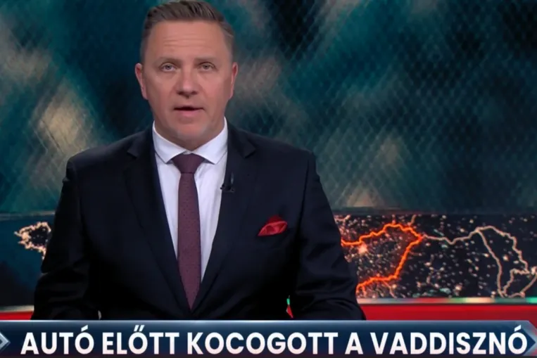 Fél a galambtól a kiselefánt – a TV2 Tényeknek teljesen elment a kedve a belpolitikától