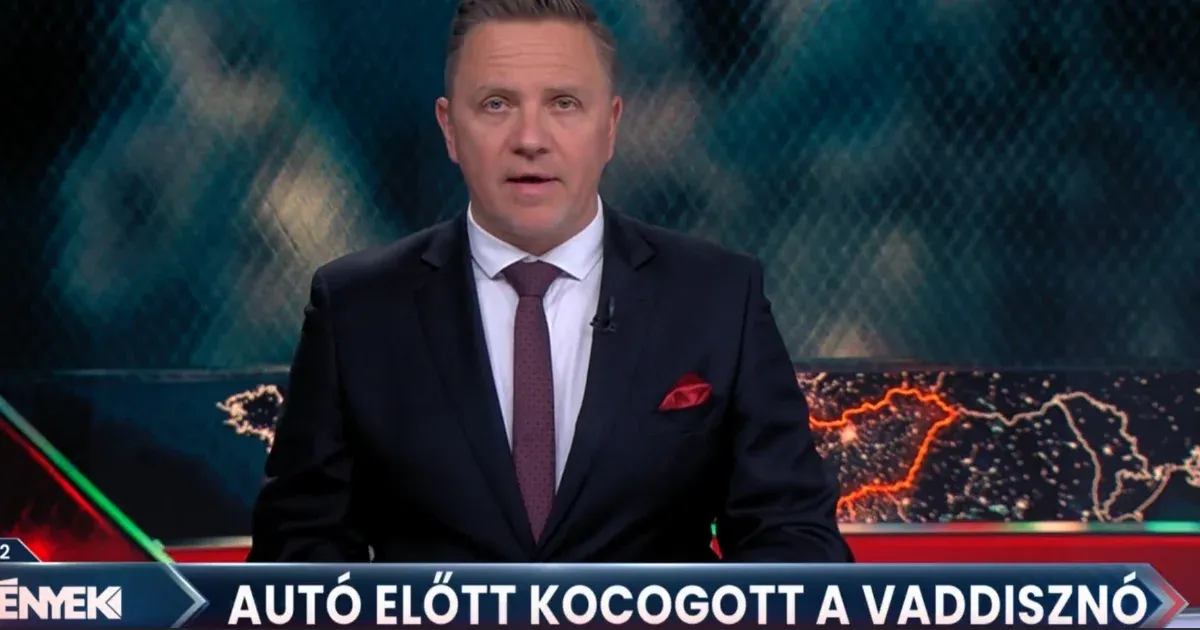 A politikai hírek helyett állat- és természeti csodák a Tények adásában A politikai hírek helyett állat- és természeti csodák a Tények adásában