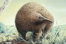 Néhány millió éve óriás hangyászsünök flangáltak Ausztráliában