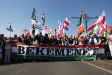 A lengyel példára figyelmeztet a CÖF a választás után