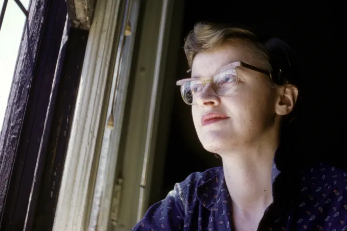 Egyik napról a másikra eltűnt a folk úttörője – őt soha többé, a zenéit pedig csak 50 év után találta meg a közönség