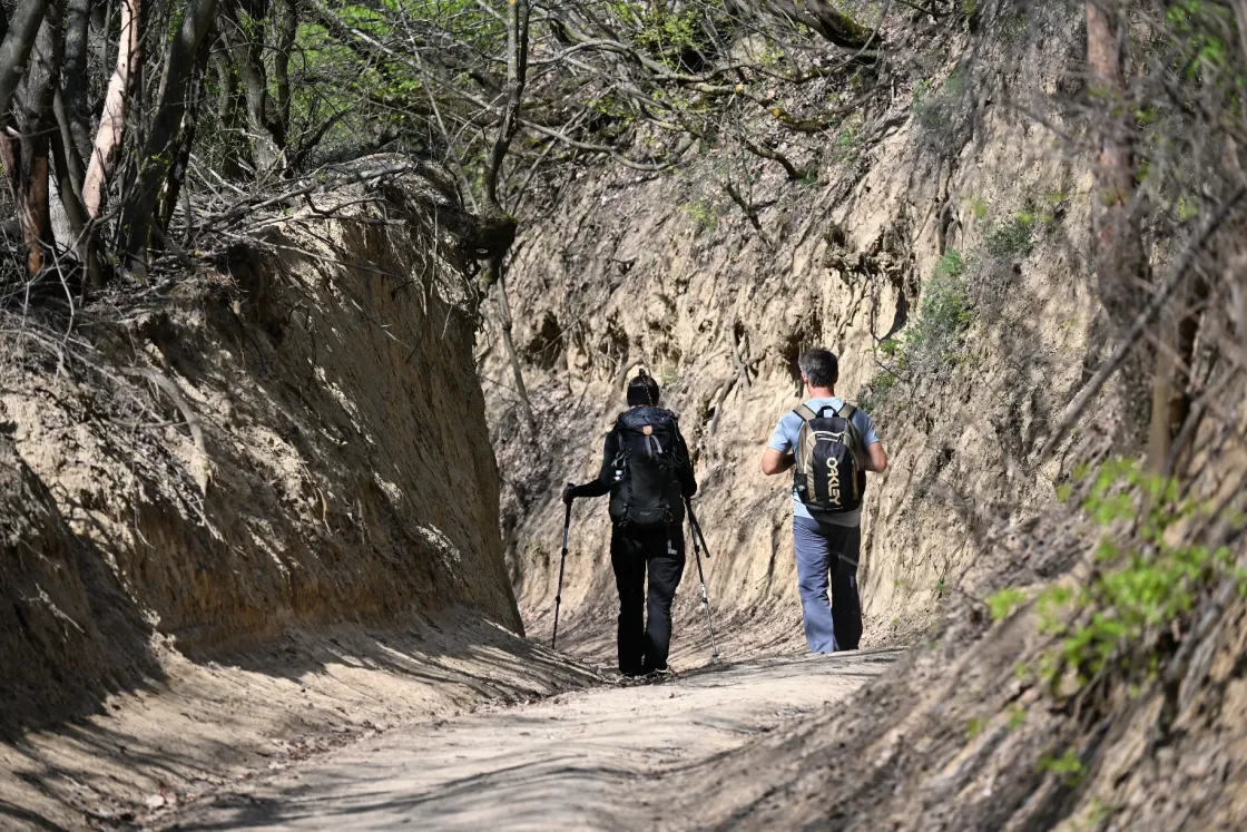 Hahó, vége a választásnak, ideje lenyugodni! Irány a Szekszárdi-dombság!