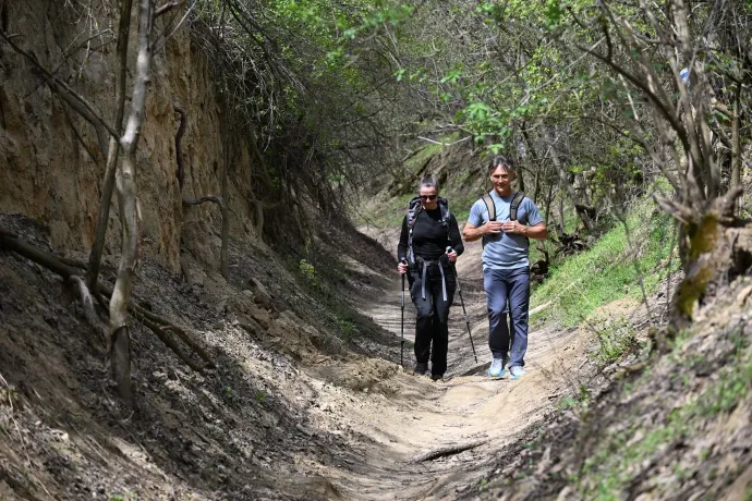 Szarvas-szurdik, Bati-kilátó, Szekszárd – Fotó: Tenczer Gábor / Telex
