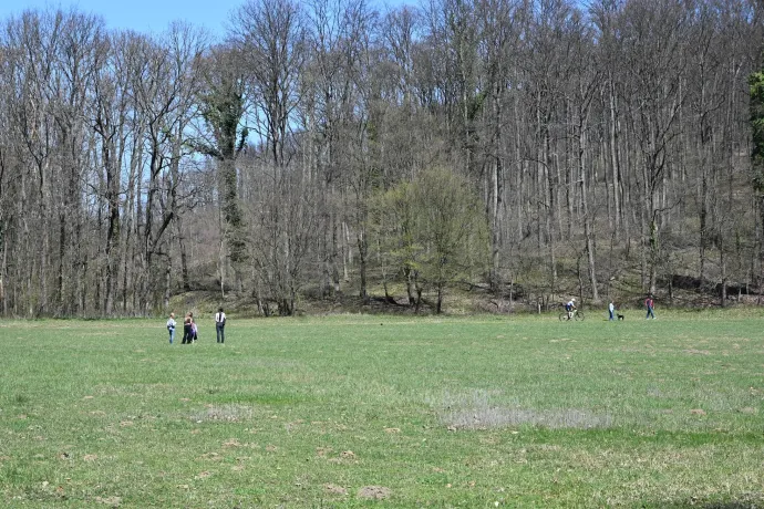 Sötét-völgy, Óriás-hegy – Fotó: Tenczer Gábor / Telex