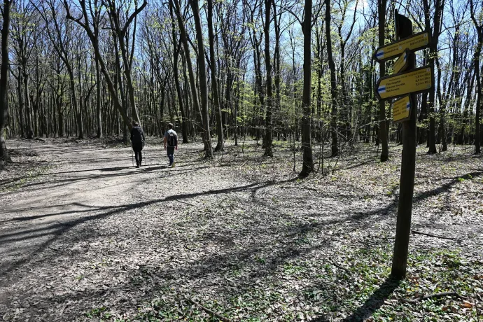 Sötét-völgy, Óriás-hegy – Fotó: Tenczer Gábor / Telex