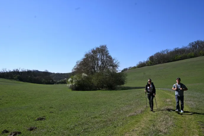 Távolban a Mecsek, a grábóci szerb kolostor, Haramia-forrás – Fotó: Tenczer Gábor / Telex