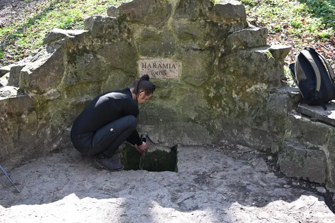 Távolban a Mecsek, a grábóci szerb kolostor, Haramia-forrás – Fotó: Tenczer Gábor / Telex