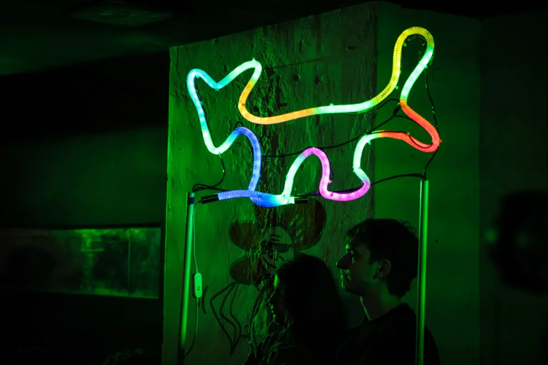 Azért költötték el a 686 millió forintot a kutyapártosok, mert fel sem merült bennünk, hogy nem érik el az egy százalékot