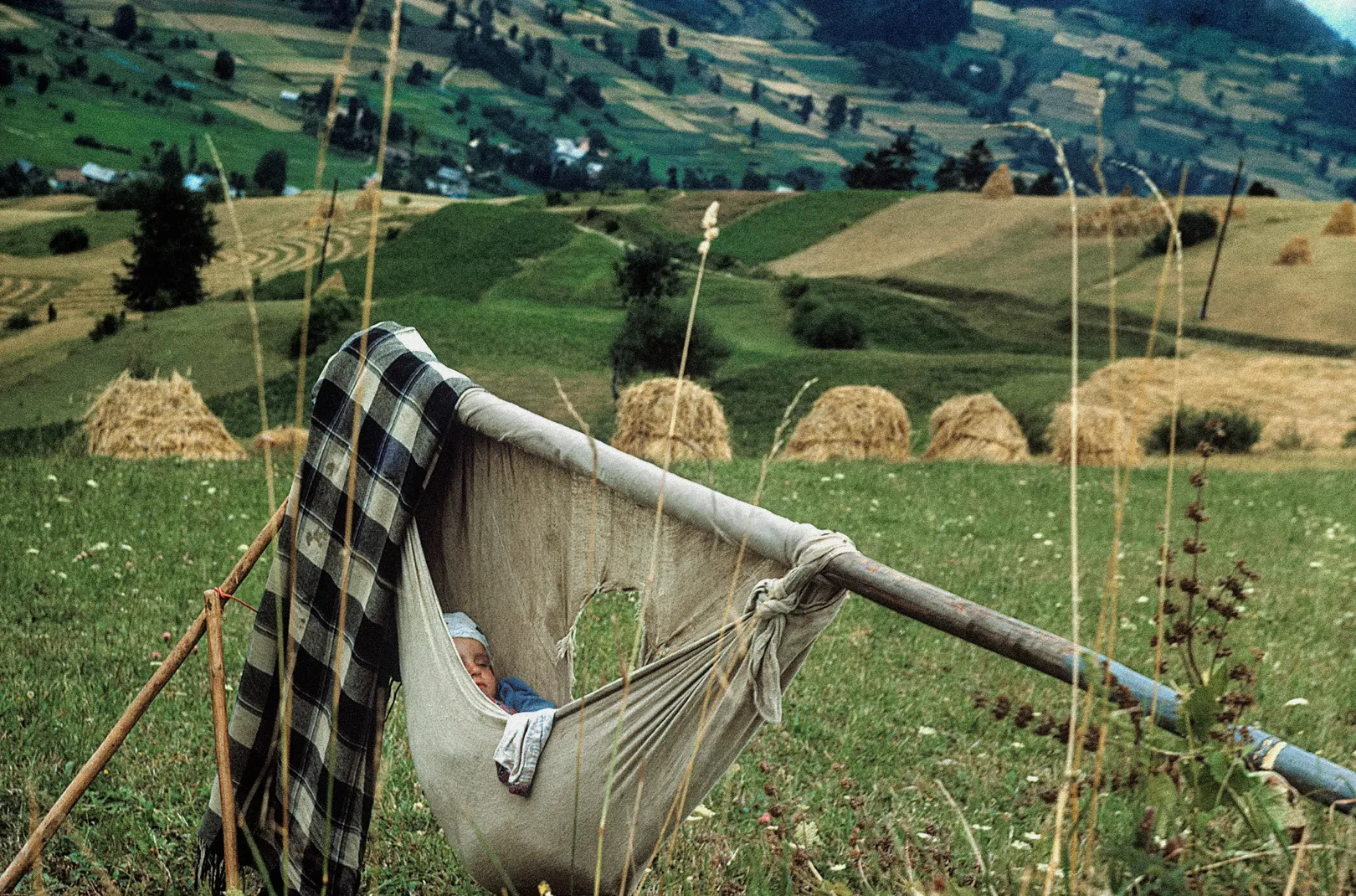 Lengyelország, Szandeci-Beszkidek, egy Krynica-Zdrój környéki ösvény, 1960-as évek – Fotó: Chris Niedenthal