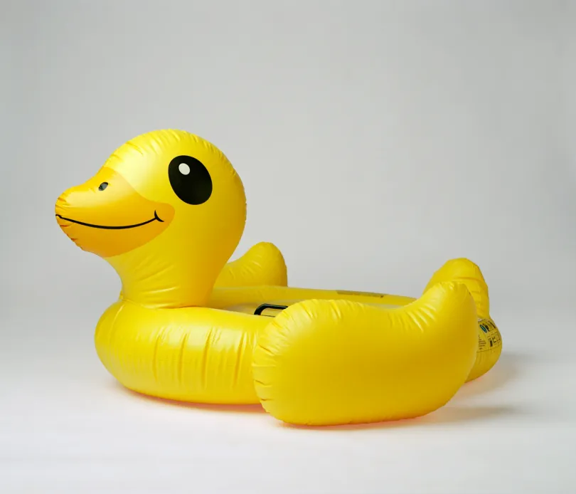 Gumikacsa. Thaiföld. / Szekfű. Portugália – Fotó: Vilma Taubo