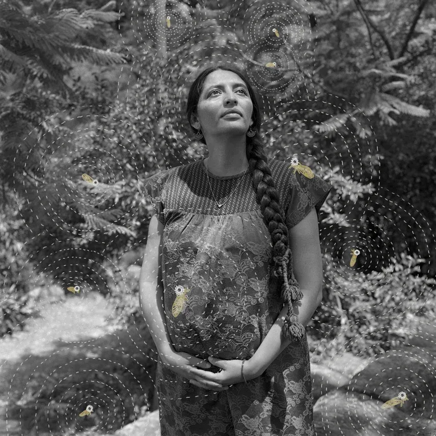 Luna egy zapoték filmkészítő, tanító és aktivista. A legutóbbi, Chicharras (Kabócák) című filmjét a közösségével közösen gyártotta és forgatta. A filmben Luna narrációjában az őslakos területek, a közösségi szerveződés és a nők politikai részvétele mellett áll ki. Ezen a képen kabócák veszik körül, amik a közös dalukkal a változás hullámait hozzák létre – Fotó: Citlali Fabián