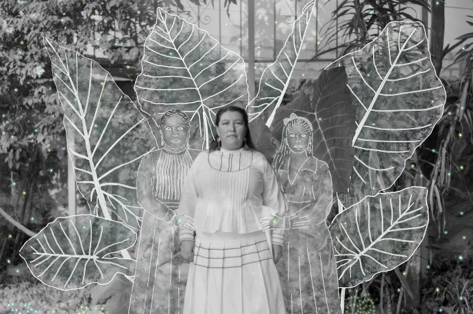 Vatikán performatív hívői, kolumbiai kokaszedők, éjjel settenkedő vadállatok