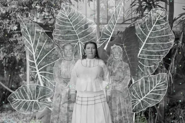 Vatikán performatív hívői, kolumbiai kokaszedők, éjjel settenkedő vadállatok