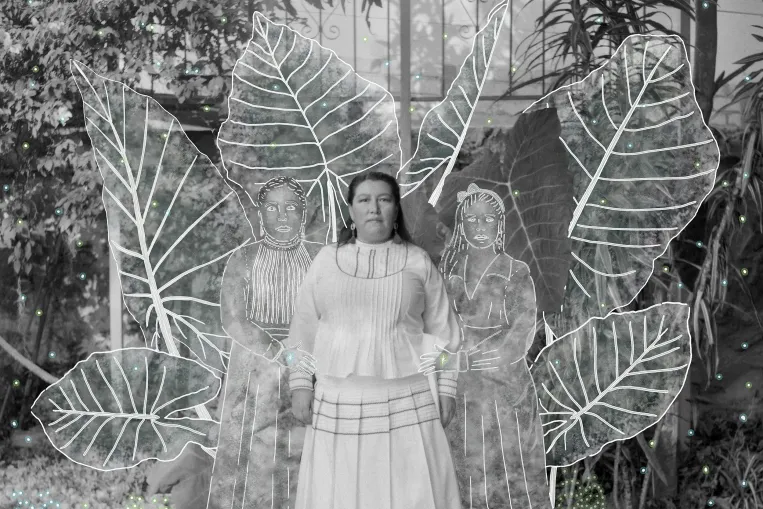 Vatikán performatív hívői, kolumbiai kokaszedők, éjjel settenkedő vadállatok