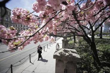 Horvát, montenegrói és bosnyák iskolákat és plázákat fenyegettek robbanószerrel