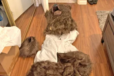 Medvejelmezben rongáltak meg luxusautókat Kaliforniában, aztán begyűjtötték a pénzt a biztosítóktól