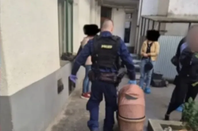 Borzasztó körülmények közül mentettek kutyákat az állatvédők, egy 11 hónapos kislányra bukkantak közben