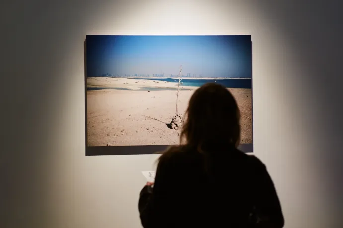 Fotó: Bilák Krisztina / Trafó Gallery