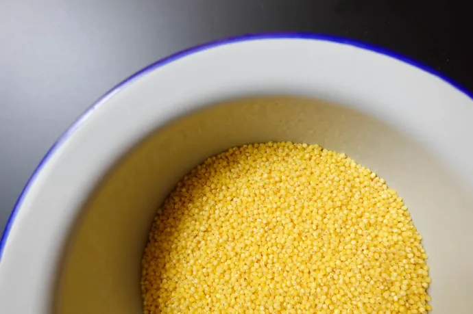 Fotó: Ács Bori / Telex