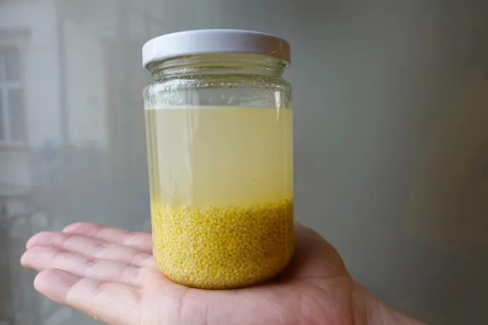 Fotó: Ács Bori / Telex