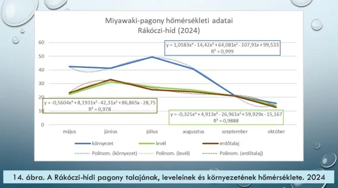 Készítette: Szabó Veronika