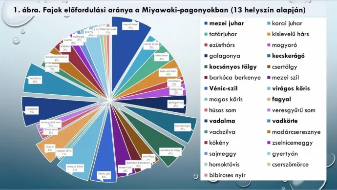 Készítette: Szabó Veronika