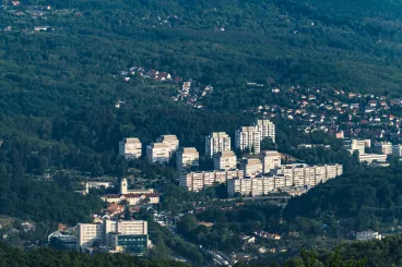 Kivágták az egyik legszebb megyeszékhely körberajongott parkjában a fákat