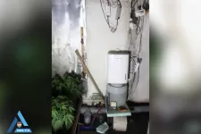 Leégett egy népszigeti műhely, és kiderült, hogy valójában kannabiszültetvény volt