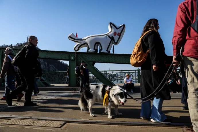 A Kutyapárt megszűnése is szerepel a forgatókönyvek között, a visszafizetendő 640 millió forint egyötödét tudták összeszedni