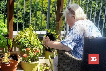 Szakmai mulasztás miatt vizsgálják a Szent Imre Kórházat, ahol későn ismerték fel egy idős nő halálos infarktusát