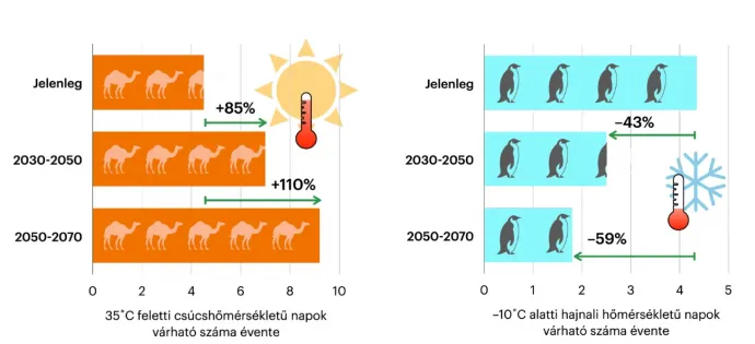 Forrás: Honti Márk