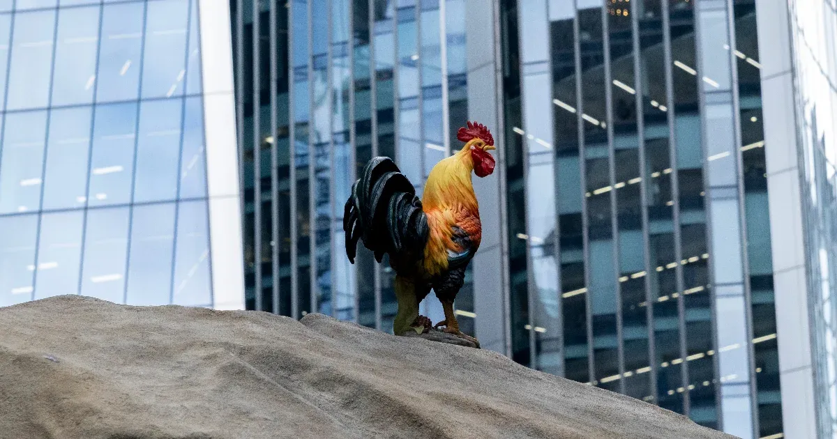 A haverjaikat jelölték a legfontosabb brit művészeti díjra a zsűritagok a...