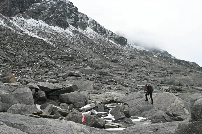 Fotó: Tenczer Gábor / Telex