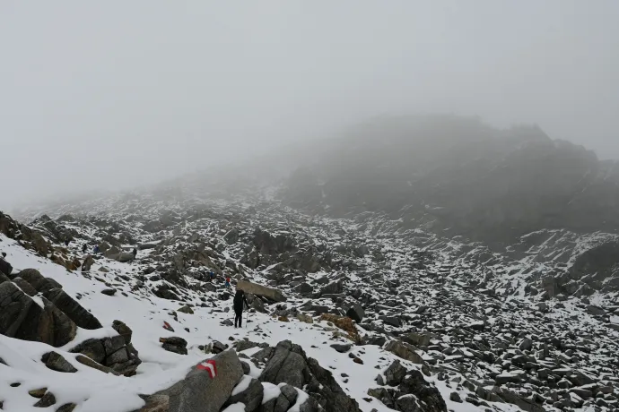 Fotó: Tenczer Gábor / Telex