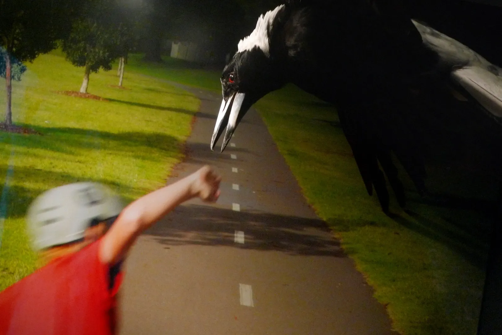 Sydney, 2010. – Fotó: Vladimír Birgus