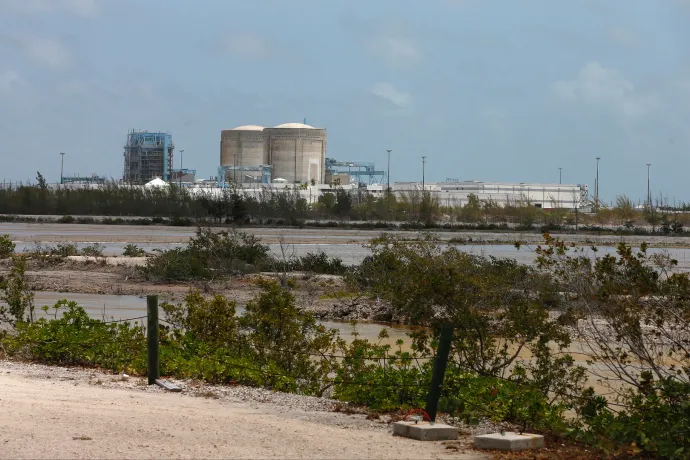 Az amerikai krokodilok odaszoktak egy atomerőműhöz, és részben ez mentette meg őket a kihalástól