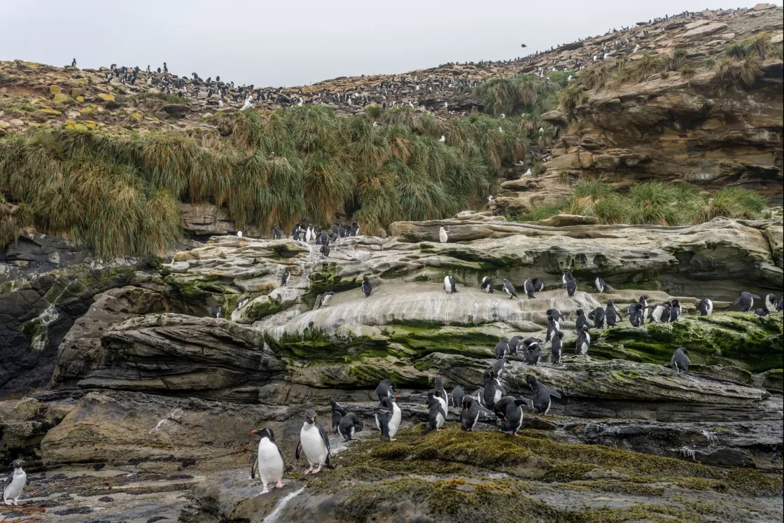Negyvennégy évvel a brit–argentin háború után azon aggódnak a Falkland-szigeteken, hogy mit tervez velük Trump