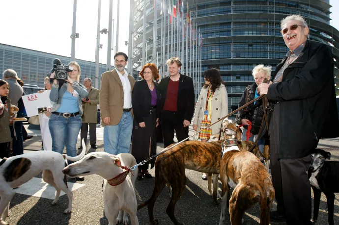 Várhatóan kötelező lesz csipet ültetni a kutyákba és macskákba az EU-ban