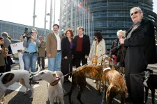 Várhatóan kötelező lesz csipet ültetni a kutyákba és macskákba az EU-ban