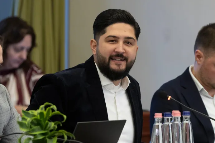 Fideszes párttársa szerint Radics Béla árt a Fidesz megújulásának