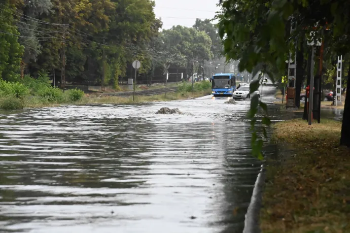 Ha a klímaváltozás élesbe kapcsol, a Margit-szigetet elfelejthetjük árvíz idején
