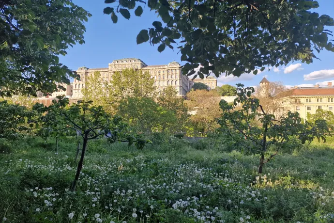 Hullámvasútra ültet az időjárás: hajnalban fagy, hétvégén akár 27 fok is jöhet