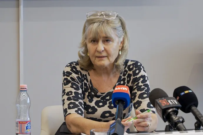 Boross Ildikó a sajtótájékoztatón – Fotó: Telex