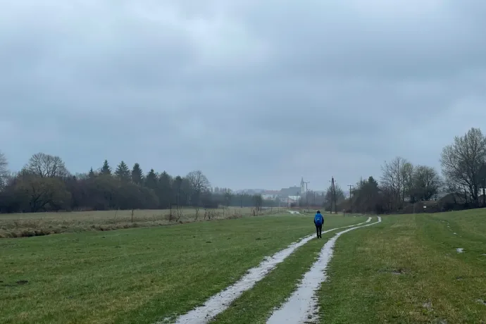 Kőris-hegy, Cuha-patak, Zirc – Fotó: Tenczer Gábor / Telex