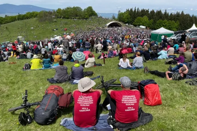 Szarvasmarha, veréb – pillanatkép a harcmezőről